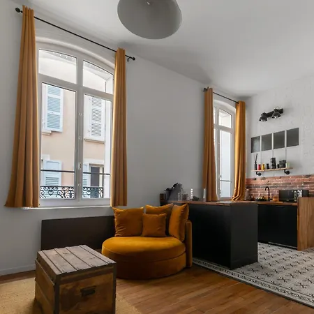 Le Plaisance - De Standing Proche Opéra Et Parcs * Vichy