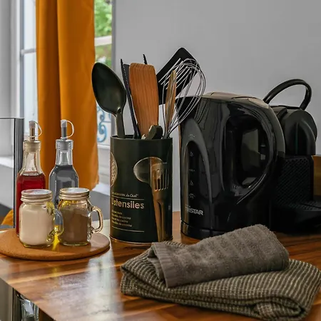 Apartamento Le Plaisance - De Standing Proche Opéra Et Parcs Vichy